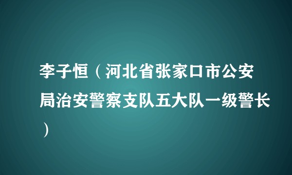 李子恒（河北省张家口市公安局治安警察支队五大队一级警长）