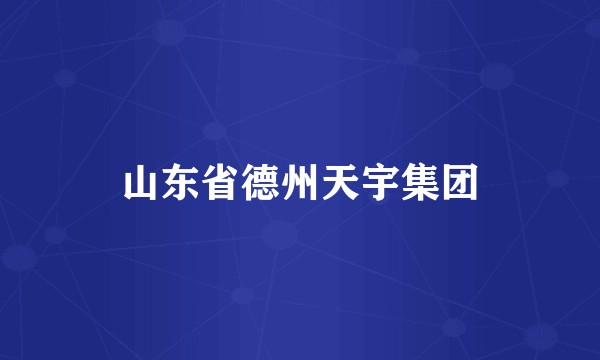 山东省德州天宇集团