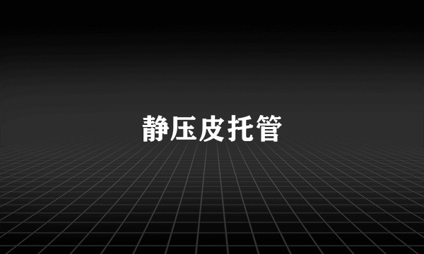 静压皮托管