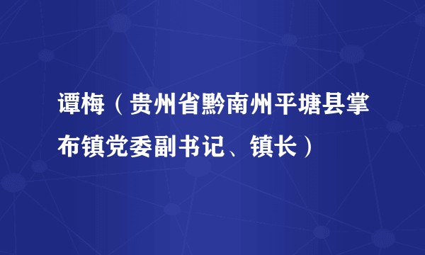 谭梅（贵州省黔南州平塘县掌布镇党委副书记、镇长）