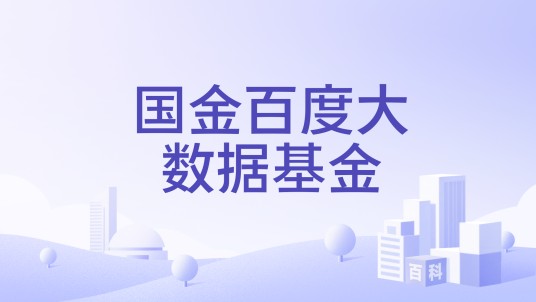 国金百度大数据基金