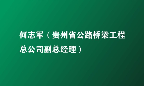 何志军（贵州省公路桥梁工程总公司副总经理）