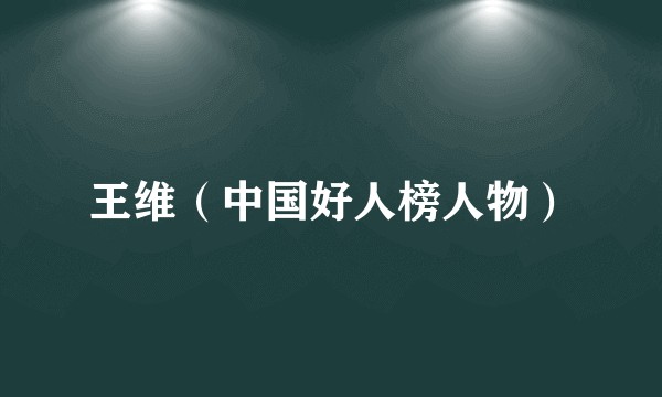 王维（中国好人榜人物）