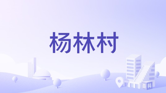 杨林村（湖南省长沙县跳马镇下辖村）