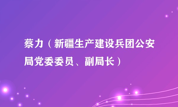 蔡力（新疆生产建设兵团公安局党委委员、副局长）