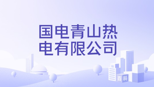 国电青山热电有限公司