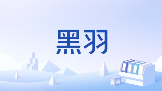 黑羽（生物学名词）