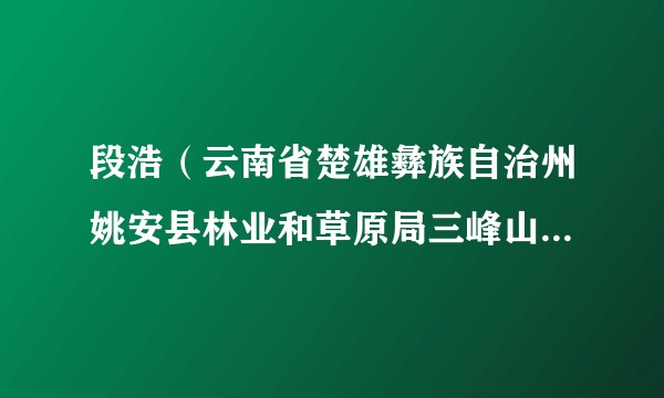 段浩（云南省楚雄彝族自治州姚安县林业和草原局三峰山州级自然保护区姚安管护局副局长）