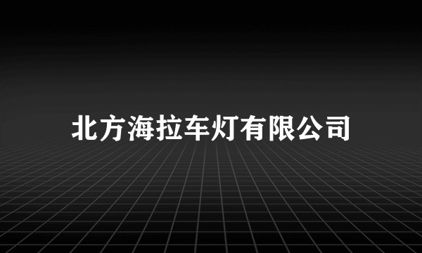 北方海拉车灯有限公司