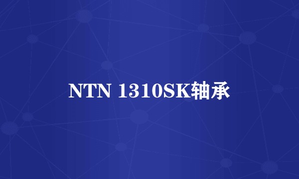 NTN 1310SK轴承