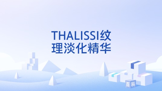 THALISSI纹理淡化精华