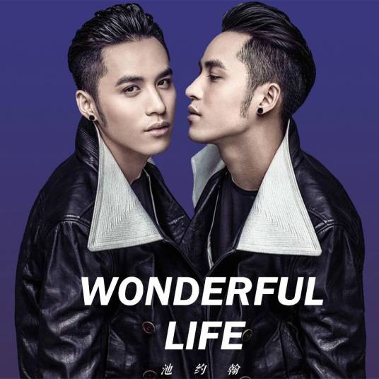 Wonderful Life(MIC男团池约翰演唱歌曲)