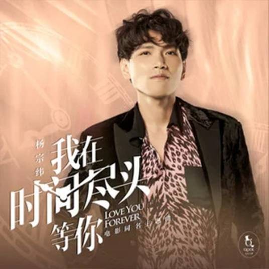 我在时间尽头等你（2020年杨宗纬演唱的歌曲）