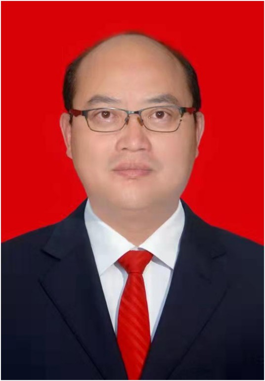 唐龙（湖南省怀化市洪江市委书记、市人武部党委第一书记）