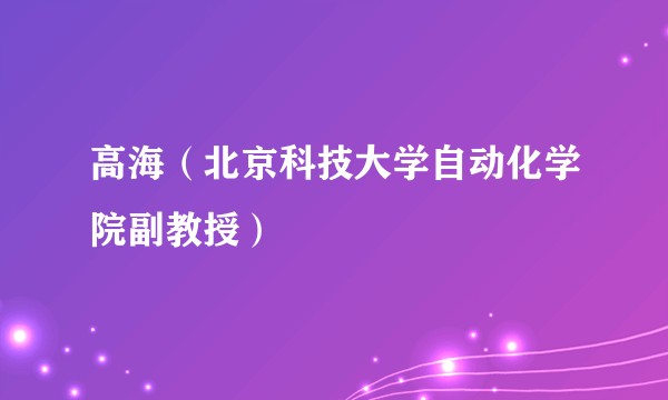 高海（北京科技大学自动化学院副教授）