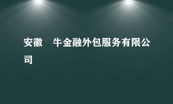 安徽犇牛金融外包服务有限公司