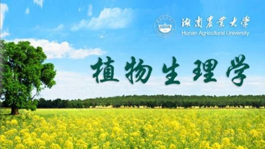 植物生理学（湖南农业大学提供的慕课）