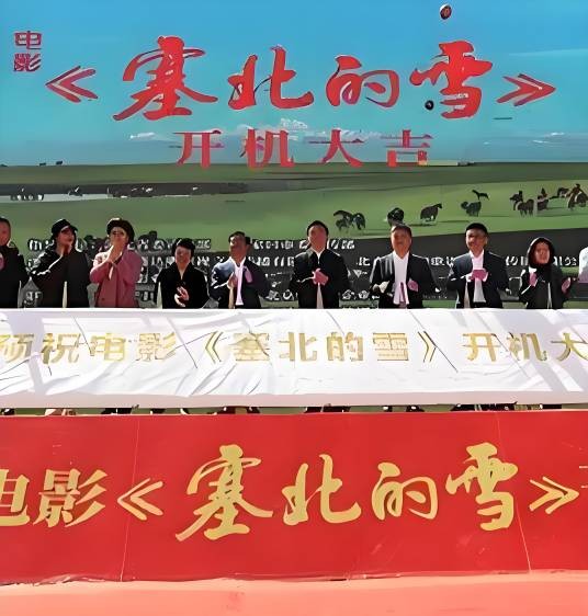 塞北的雪（尹元编剧的电影）
