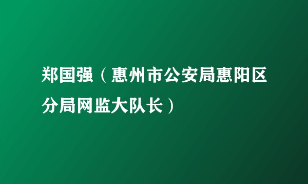 郑国强（惠州市公安局惠阳区分局网监大队长）