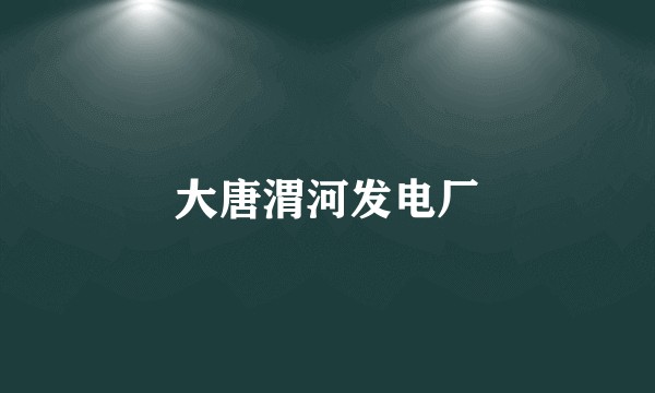 大唐渭河发电厂