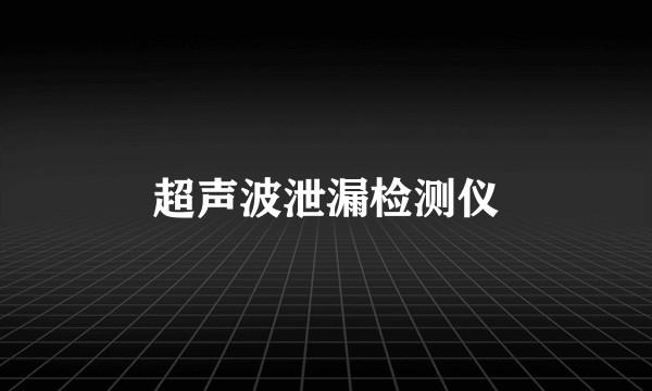 超声波泄漏检测仪