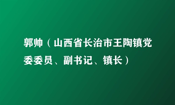 郭帅（山西省长治市王陶镇党委委员、副书记、镇长）