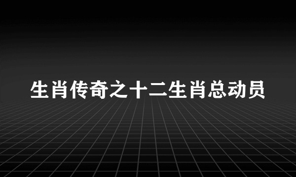生肖传奇之十二生肖总动员