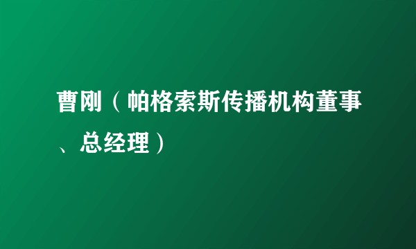 曹刚（帕格索斯传播机构董事、总经理）
