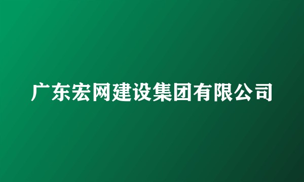 广东宏网建设集团有限公司