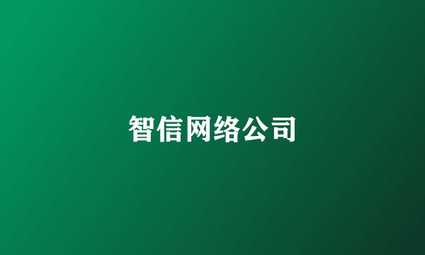 智信网络公司