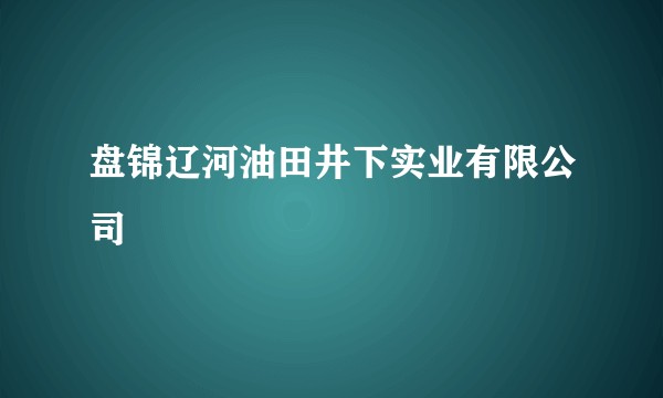 盘锦辽河油田井下实业有限公司