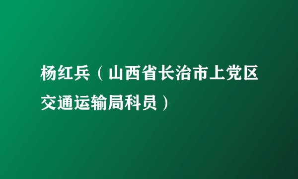 杨红兵(山西省长治市上党区交通运输局科员)