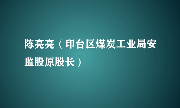 陈亮亮(印台区煤炭工业局安监股原股长)