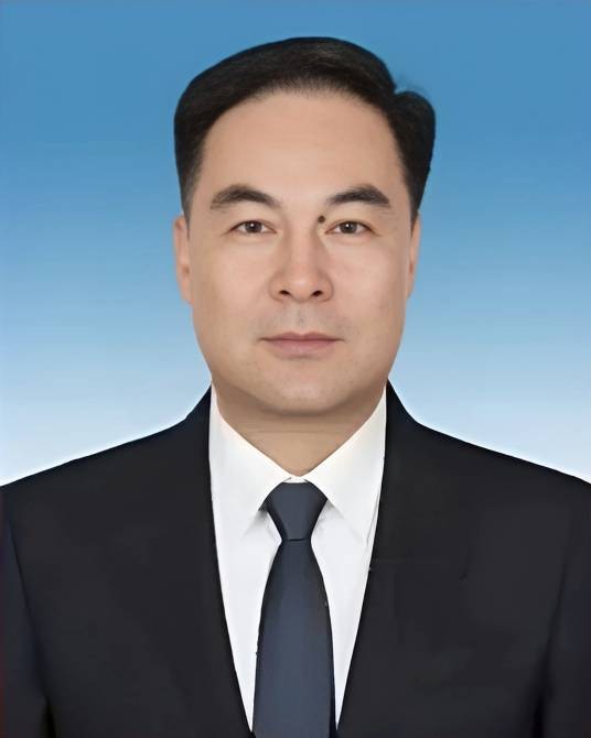 陈宏伟（河北省保定市人大常委会主任、党组书记）