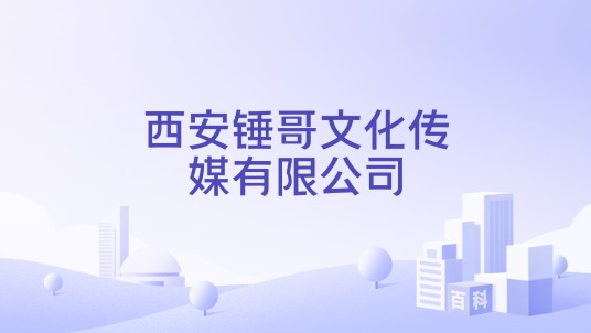 西安锤哥文化传媒有限公司