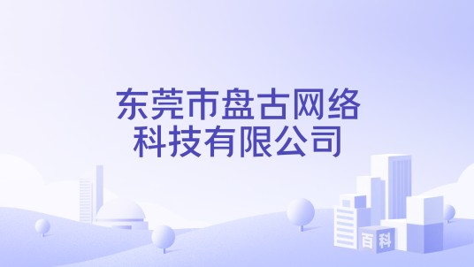 东莞市盘古网络科技有限公司