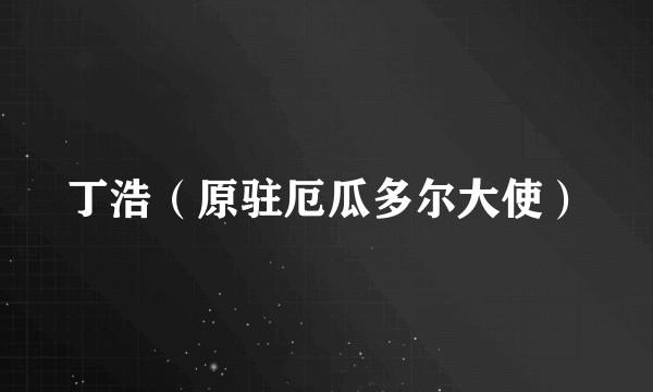 丁浩（原驻厄瓜多尔大使）