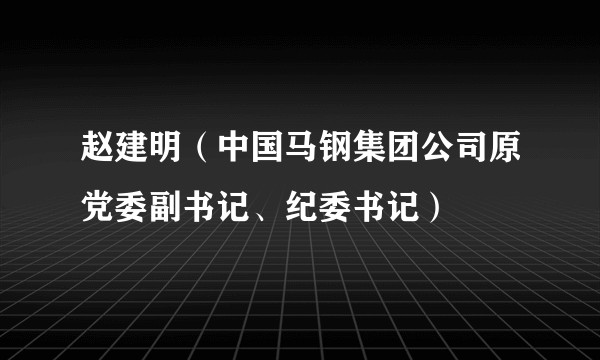 赵建明（中国马钢集团公司原党委副书记、纪委书记）