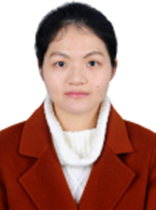 李春燕(重庆大学电气工程学院副教授)