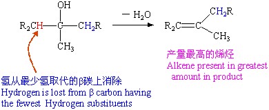 扎伊采夫规则