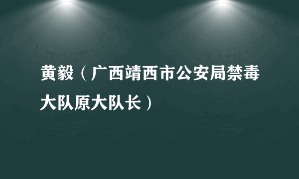黄毅（广西靖西市公安局禁毒大队原大队长）