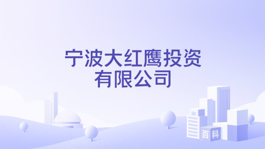 宁波大红鹰投资有限公司