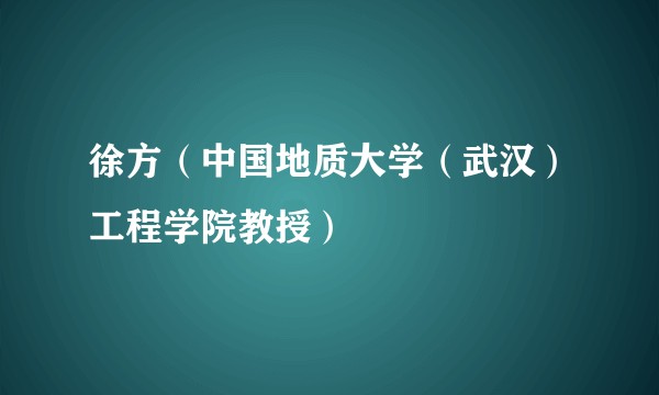 徐方（中国地质大学（武汉）工程学院教授）