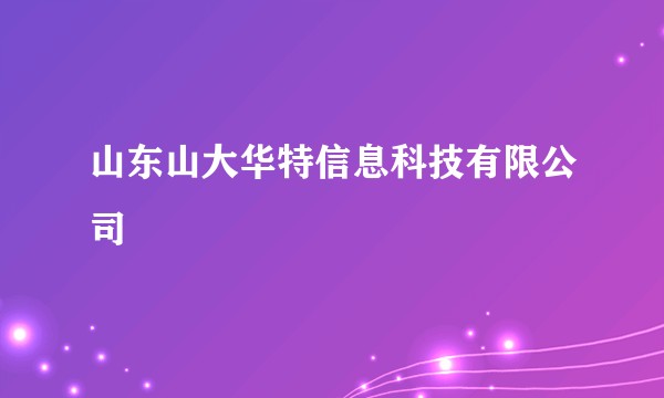 山东山大华特信息科技有限公司