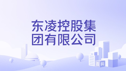 东凌控股集团有限公司