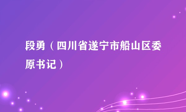段勇（四川省遂宁市船山区委原书记）