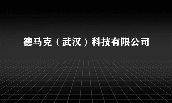 德马克（武汉）科技有限公司