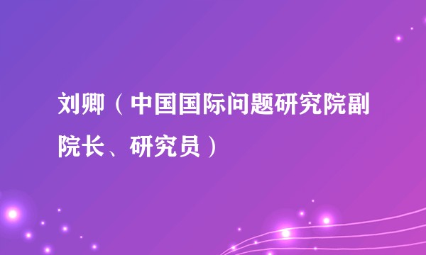 刘卿（中国国际问题研究院副院长、研究员）