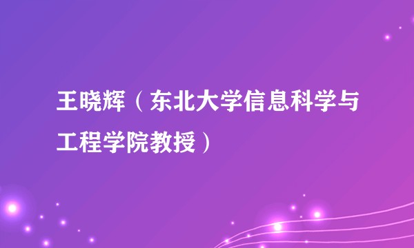 王晓辉（东北大学信息科学与工程学院教授）