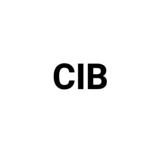 CIB（中国情报信息中队）